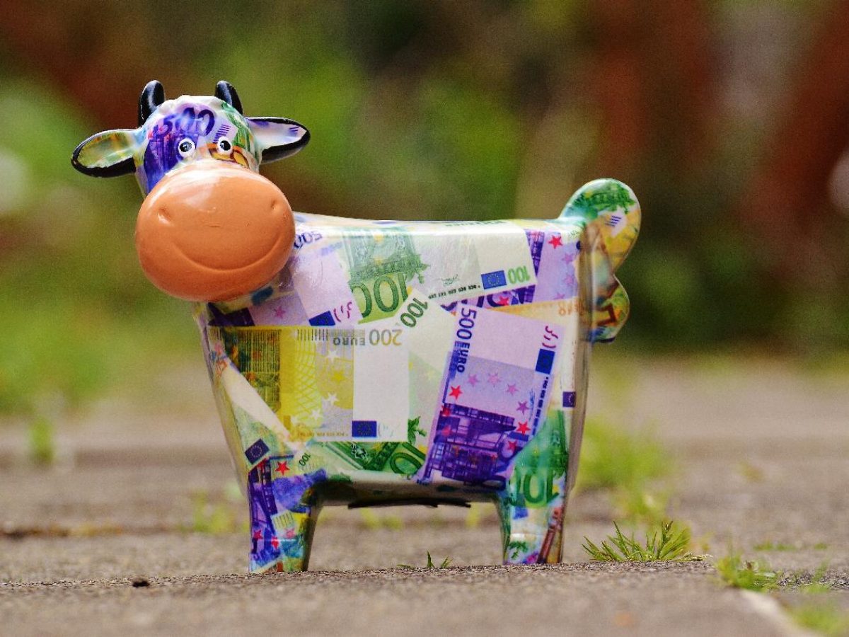 Colourful money cow